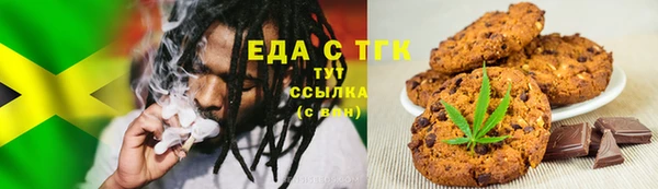 стаф Алзамай