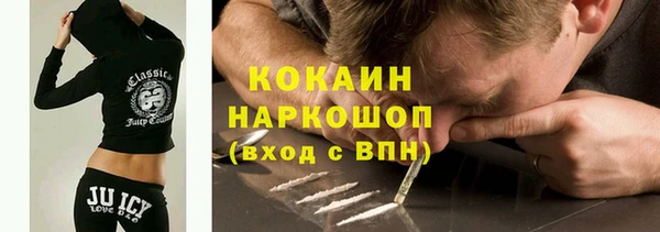 гашик Алексеевка