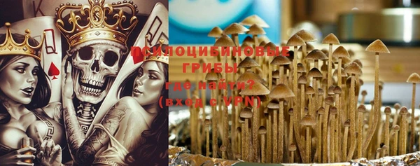 PSILOCYBIN Алексин