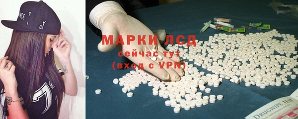 стаф Алзамай