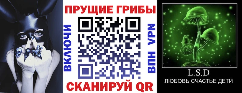Галлюциногенные грибы GOLDEN TEACHER  Славск 